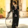 anarkalisalwarsuitonlineindia-5645-1-300x300 Black Organza Handpainted Saree